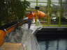 betonieren mit Frderband